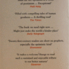 Human kind by Rutger Bregman back Cover of Humankind by Rutger Bregman – a hopeful history book exploring the good in humanity.