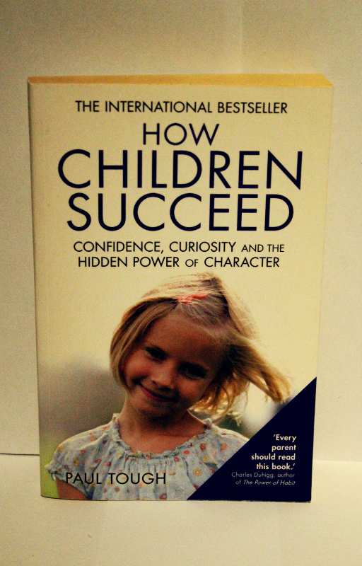 Cover of How Children Succeed by Paul Tough – non-fiction book on grit, resilience, and character development in children, used-good condition - front cover
