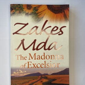 The Madonna of Excelsior - Zakes Mda