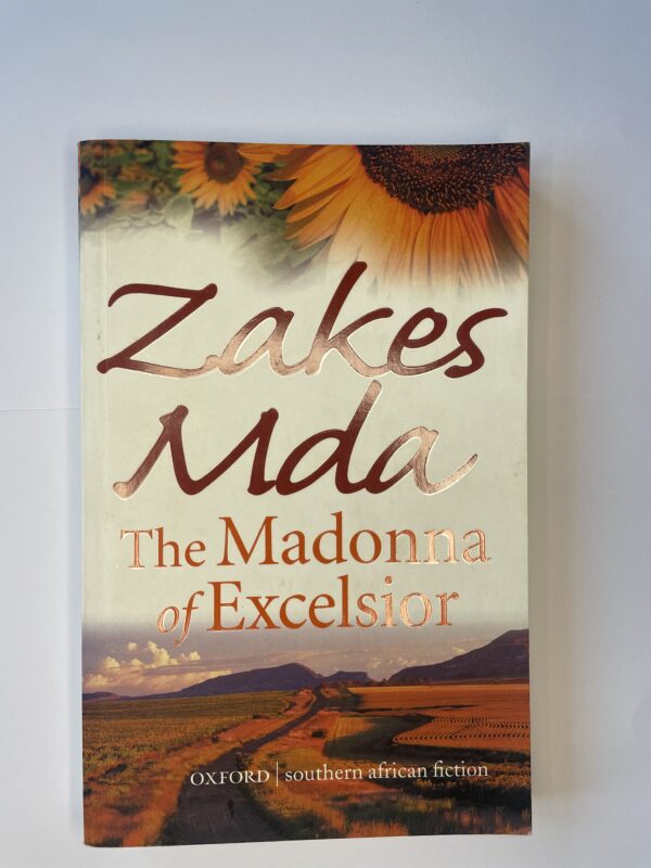 The Madonna of Excelsior - Zakes Mda
